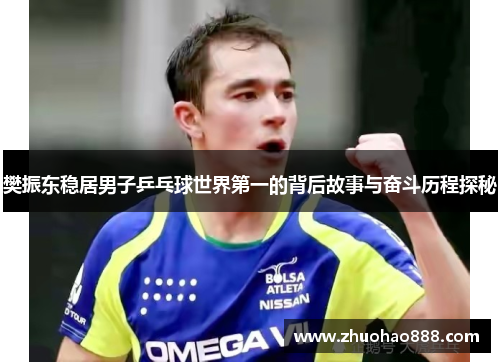 樊振东稳居男子乒乓球世界第一的背后故事与奋斗历程探秘