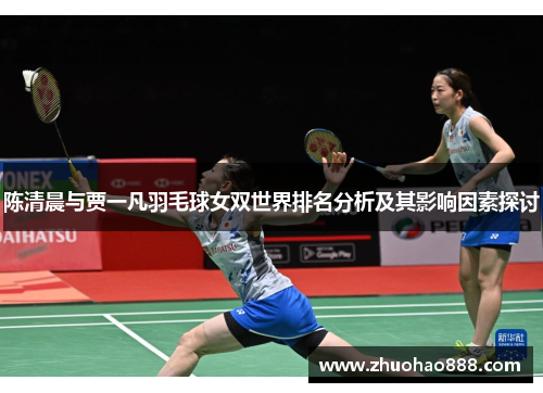 陈清晨与贾一凡羽毛球女双世界排名分析及其影响因素探讨