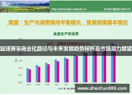 篮球赛事商业化路径与未来发展趋势探析及市场潜力展望